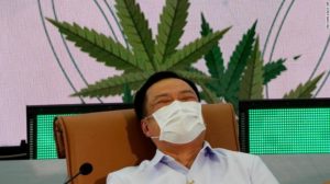 Il regno di Thailandia, la nuova politica sulla cannabis ed un suggerimento