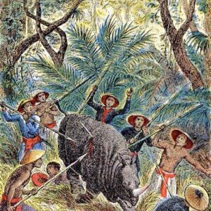 Il Rinoceronte dell’Indocina