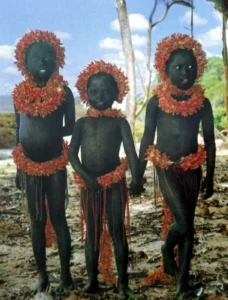 North Sentinel Island – The Indian Human Reserve