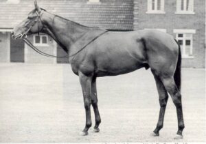 Il futuro umano o l’eugenetica inversa dell'Islam